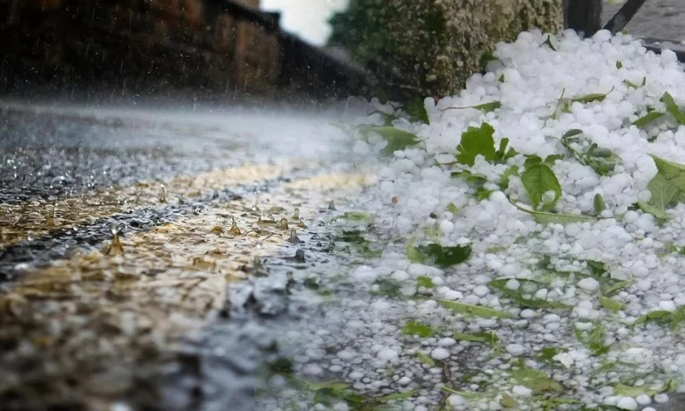 Ισχυρή χαλαζόπτωση στα κάτω Τρίκαλα Κορινθίας κατέστρεψε καλλιέργειες